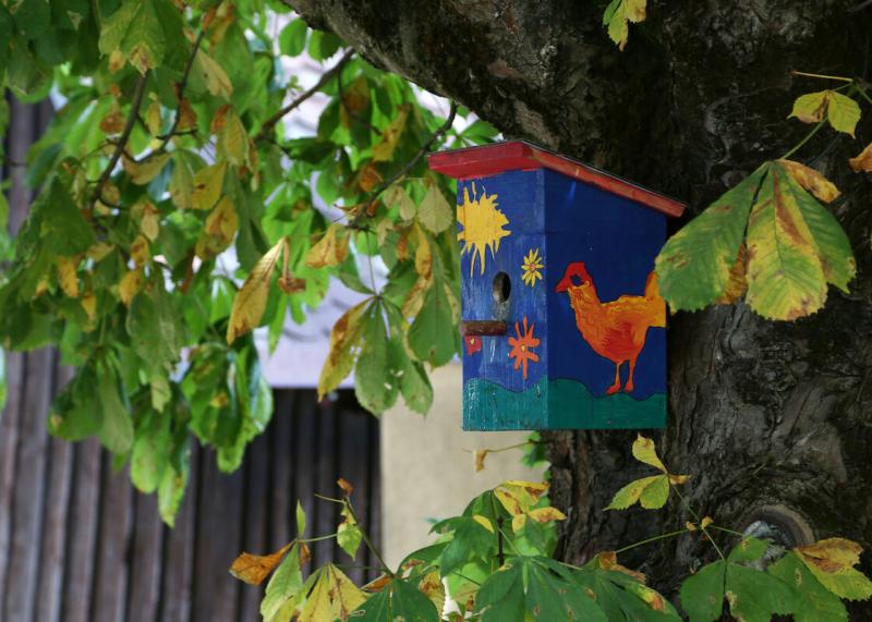 Nestbau für kleine und große Hände - Vogelhäuser bauen: mit der Ev. Familienbildung. Foto: Sandra Hirschke/fundus-medien.de Buntbemaltes Vogelhaus hängt in Baum.
