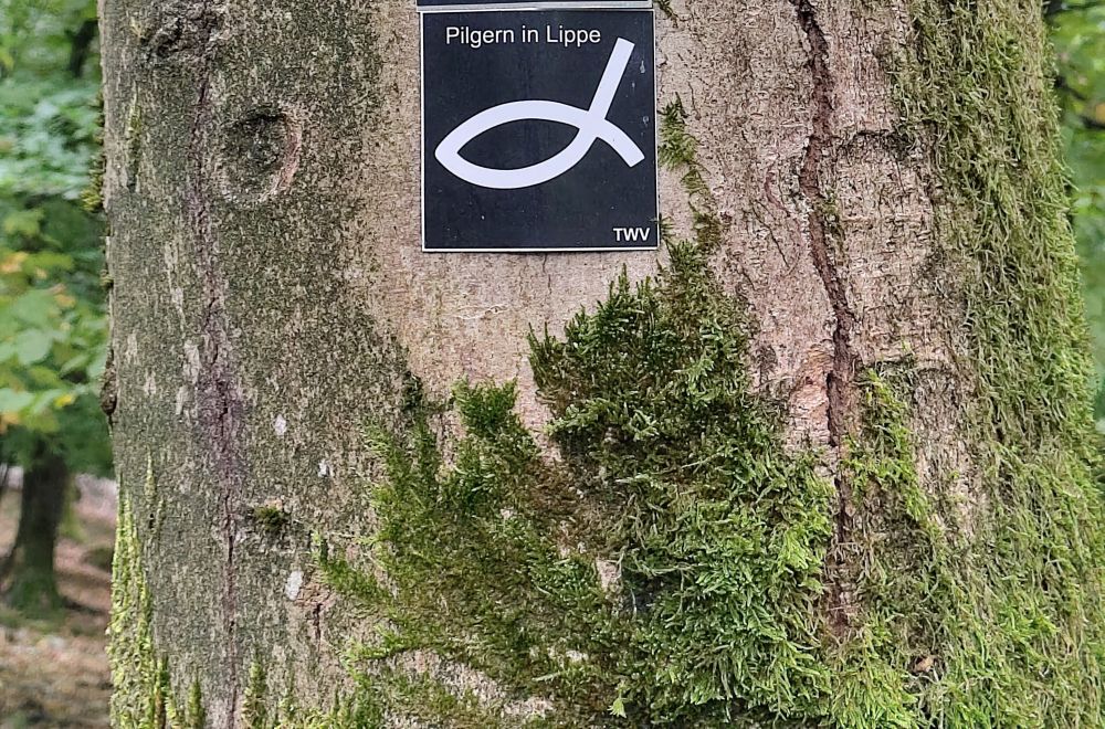 Pilgertour an Pfingsten